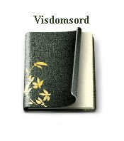 Visdomsord